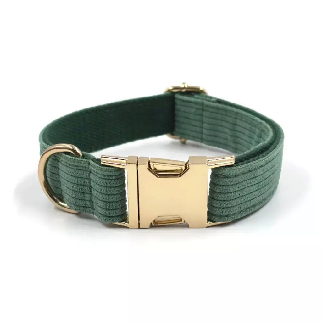 The Corduroy Collection Collar - Forest