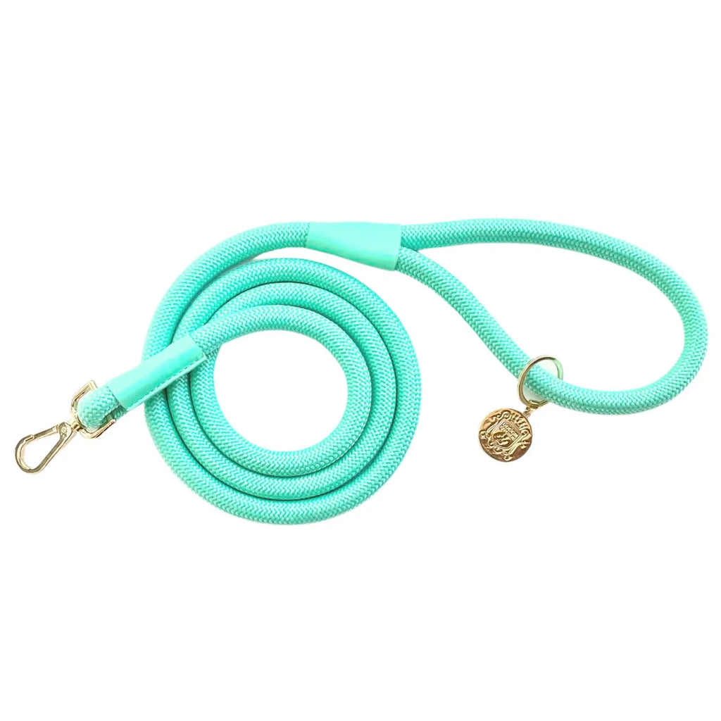 The Classic Leash in 4 Colors